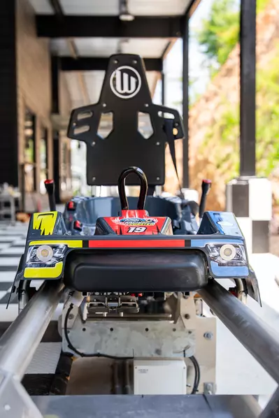 mountain coaster cart