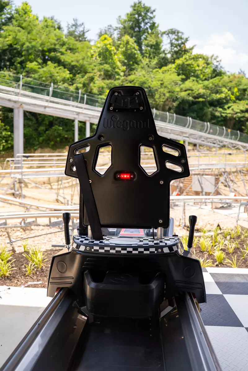 mountain coaster cart