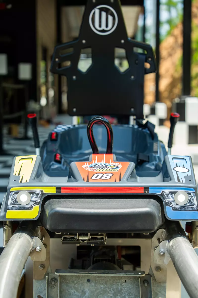 mountain coaster cart