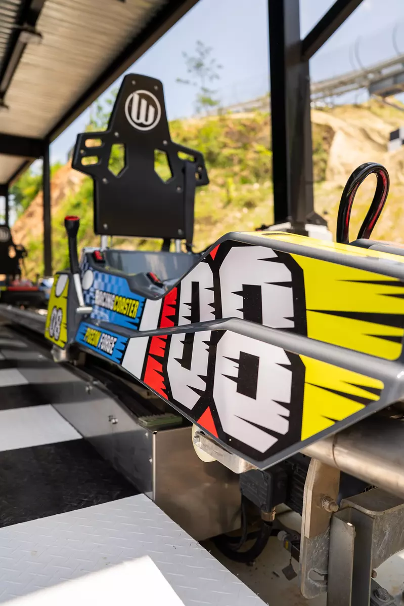 mountain coaster cart